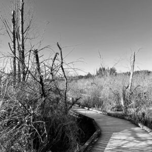 Clear Creek Trail