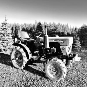 An old tractor sitting in front of a field of Christmas trees in black and white.